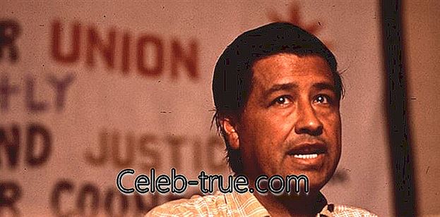Cesar Chavez bol vodcom americkej únie a organizátorom práce. Táto biografia Cháveza ponúka podrobné informácie o jeho detstve,