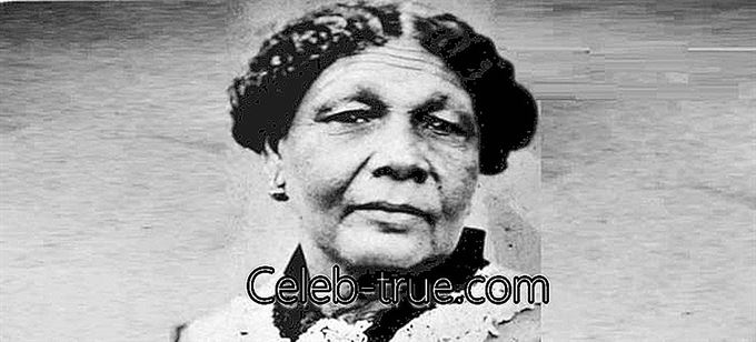 Mary Seacole adalah seorang jururawat kelahiran Jamaica yang menjadi seorang pahlawan Perang Krimea