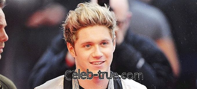 Niall Horan on Iiri laulja ja kitarrist, tuntuim poistebändi 'One Direction' liige