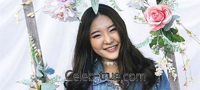 מייגן לי היא שחקנית וזמרת קוריאנית-אמריקאית, הידועה בעיקר בזכות סרטוני ה'יוטיוב 'שלה ובתפקידה במשחק בסדרה' Make it Pop 'הקנדי